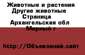 Животные и растения Другие животные - Страница 2 . Архангельская обл.,Мирный г.